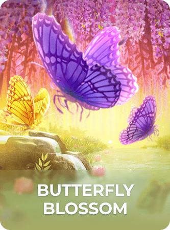 Daman App: Butterfly Blossom